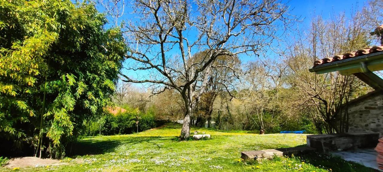 Entre Galets Appartement Sauveterre-de-Bearn Buitenkant foto